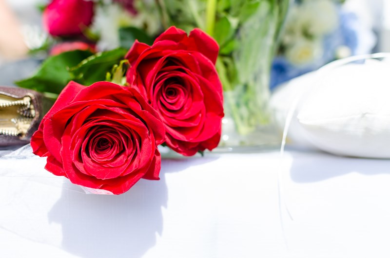 red-roses-gifts